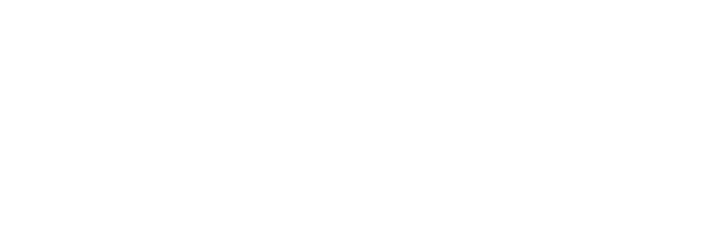 white-audi-logo-1024x356